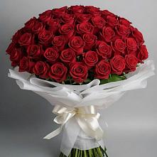 Букет 101 Красная роза Блэк Мэджик в Чебаркуле
