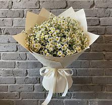Букет цветов из:  Ромашки в Чебаркуле