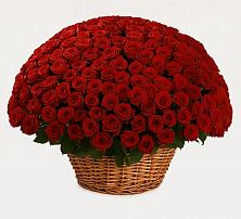 Премиум букет из: Розы в Чебаркуле