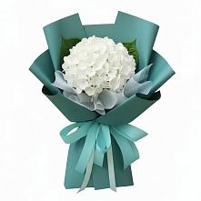 Букет цветов из:  Гортензия в Чебаркуле